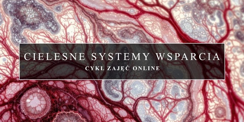 CIELESNE SYSTEMY WSPARCIA online